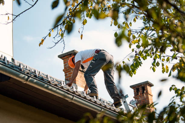 Quick and Trustworthy Emergency Roof Repair Services in Savage, MN